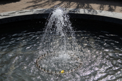 1_alnwick-gardens-carol-102-of-184