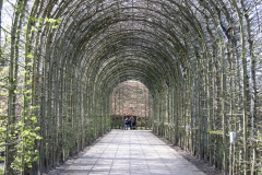1_alnwick-gardens-carol-124-of-184