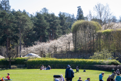 1_alnwick-gardens-carol-2-of-184