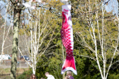 1_alnwick-gardens-carol-25-of-184