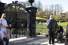1_alnwick-gardens-carol-4-of-184