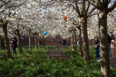 1_alnwick-gardens-carol-43-of-184