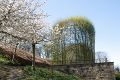 1_alnwick-gardens-carol-9-of-184