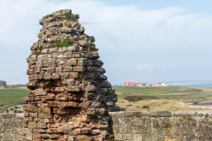 bamburgh-roger-12-of-43