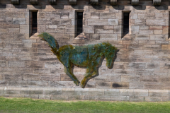 bamburgh-castle-carol-3-of-57