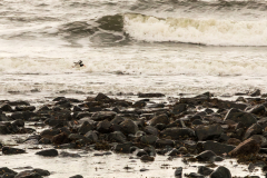 dunstanburgh-roger-11-of-28