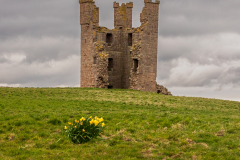 dunstanburgh-roger-18-of-28