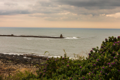 dunstanburgh-roger-2-of-28