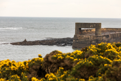 dunstanburgh-roger-5-of-28