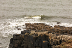 dunstanburgh-roger-7-of-28